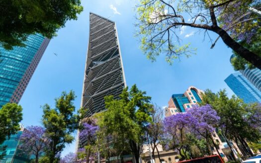 Torres y jacarandas en Paseo de la Reforma, Ciudad de México